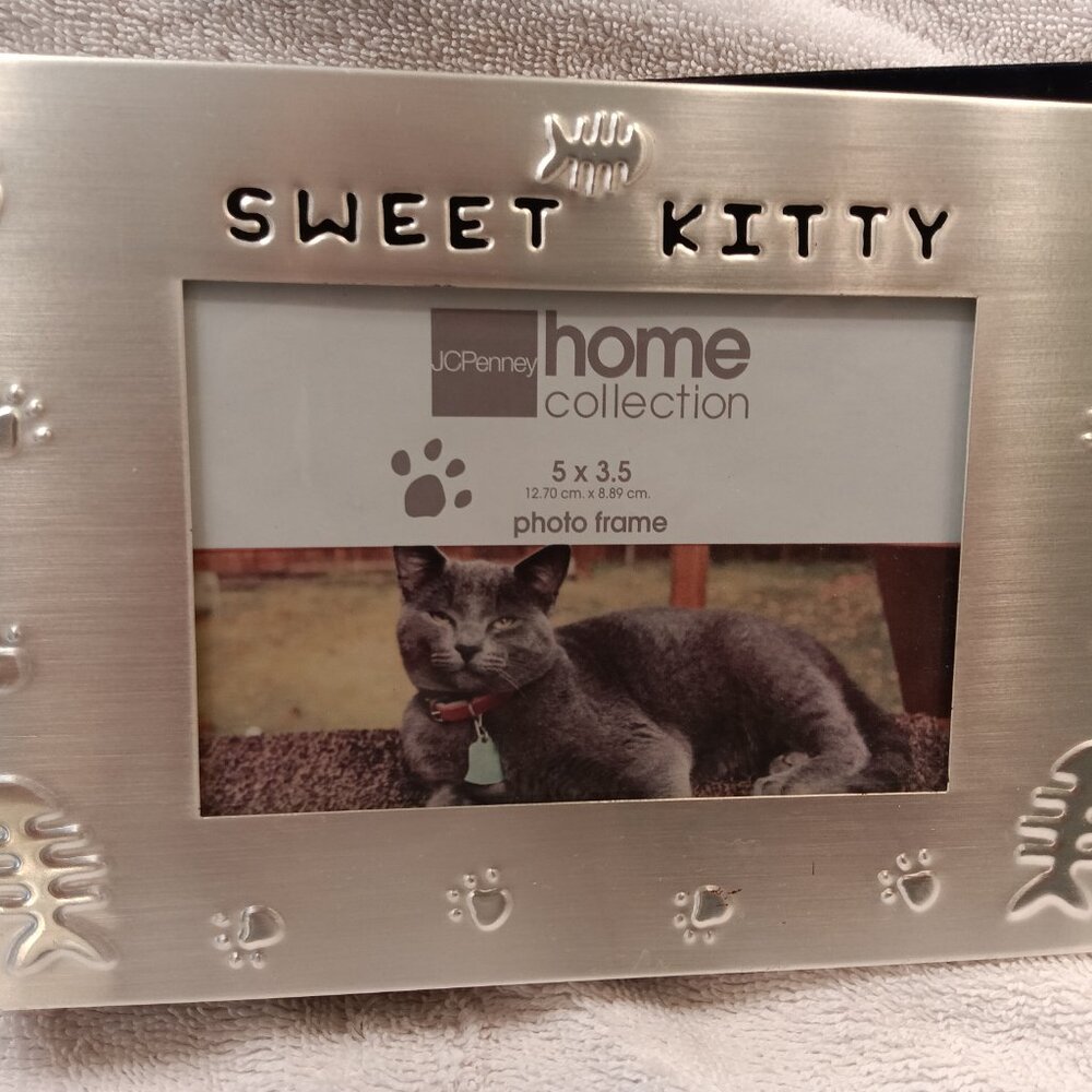 "SWEET KITTY" COMBO PICTURE FRAME / ALBUM (*)